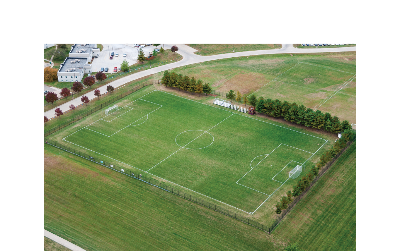Pyche Field